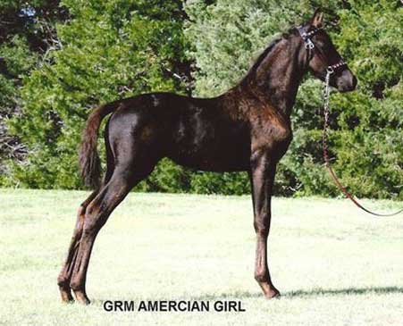 GRM American Girl