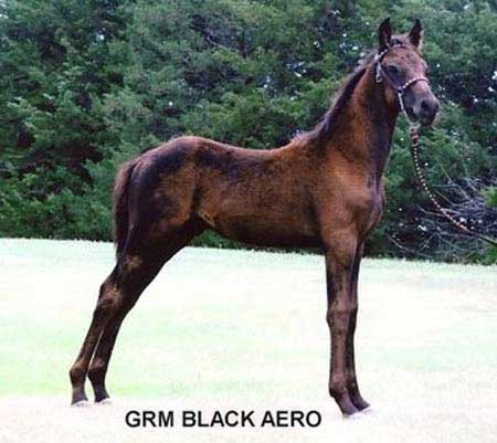 GRM Black Aero