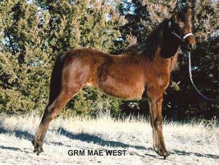 GRM Mae West