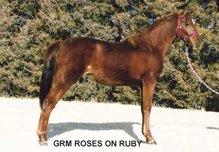 GRM Roses On Ruby