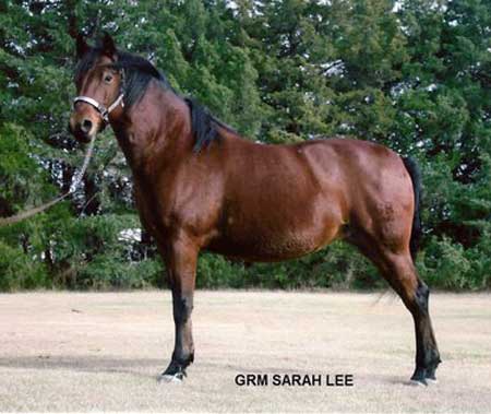 GRM Sarah Lee