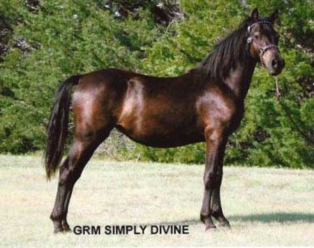 GRM Simply Divine
